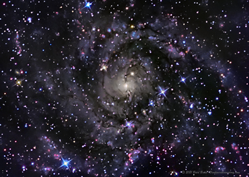 IC 342 Hidden Galaxy