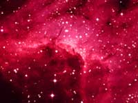 IC 5070 Pelican Nebula