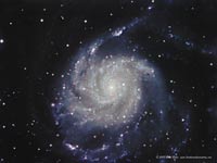 M 101 Pinwheel Galaxy