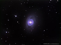 M 95
