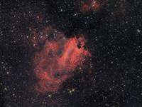 M 42 Orion Nebula (Narrowband)