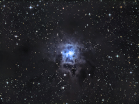 NGC 7023 Iris Nebula